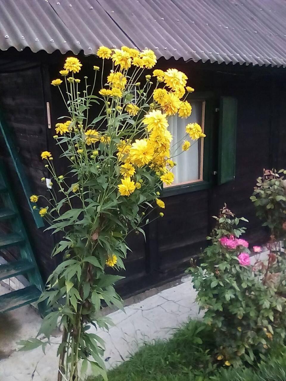 Holiday Home Vila Milka Kremna Exterior photo